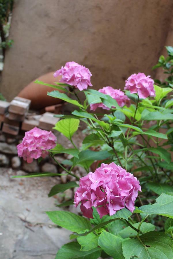Il Giardino Dei Fiori Daire Mandello del Lario Dış mekan fotoğraf
