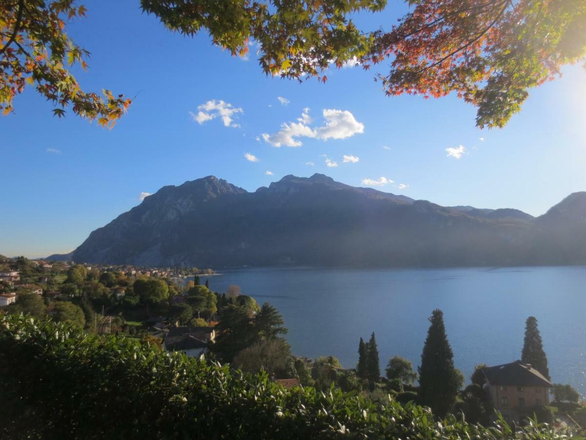 Il Giardino Dei Fiori Daire Mandello del Lario Dış mekan fotoğraf