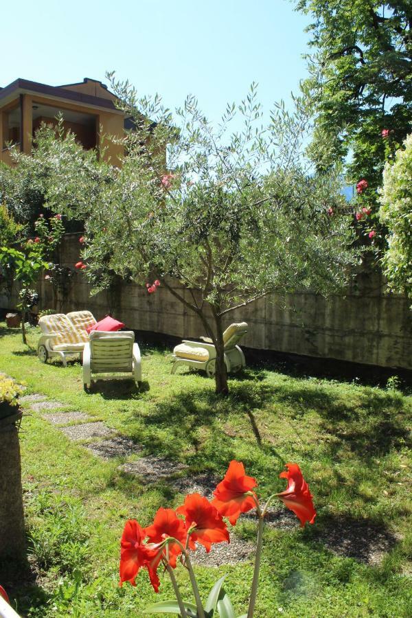 Il Giardino Dei Fiori Daire Mandello del Lario Dış mekan fotoğraf