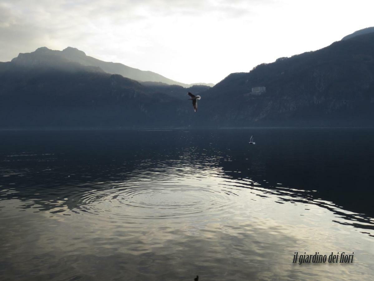 Il Giardino Dei Fiori Daire Mandello del Lario Dış mekan fotoğraf
